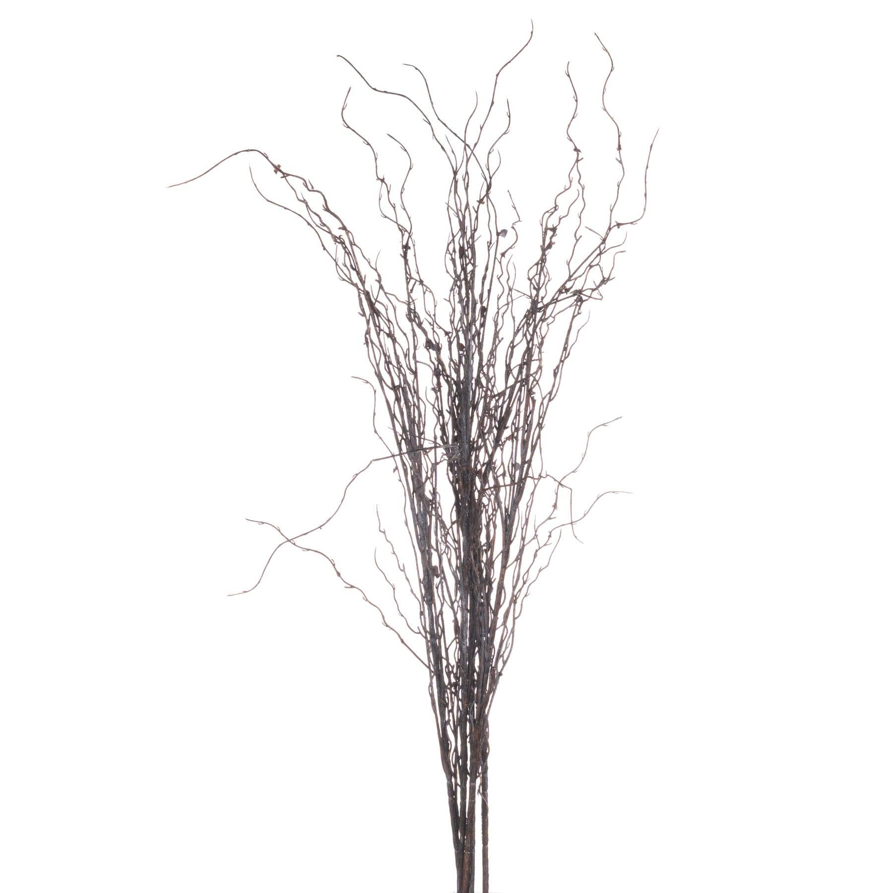 Branch Spray - Eudemonia Home Goods