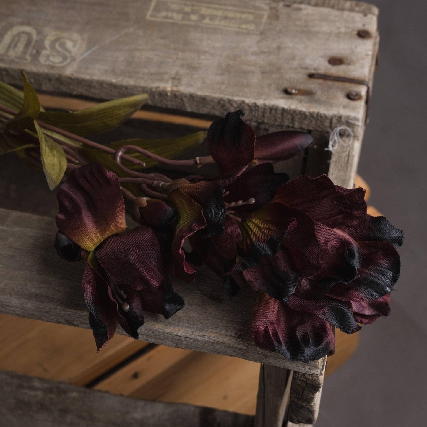 Chocolate Alstroemeria Lily Spray - Eudemonia Home Goods