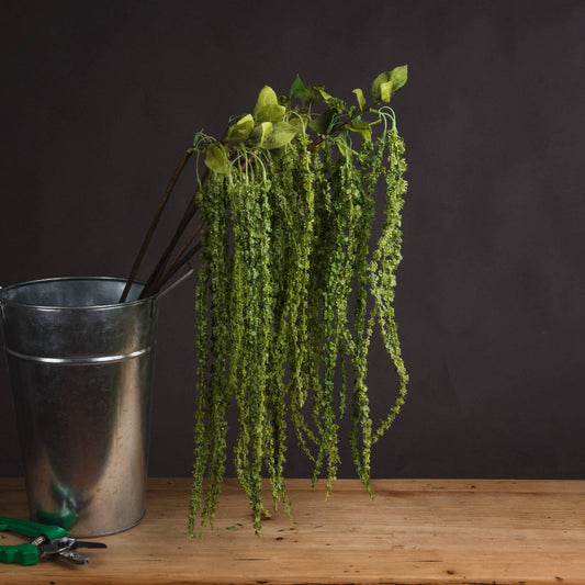Green Amaranthus - Eudemonia Home Goods