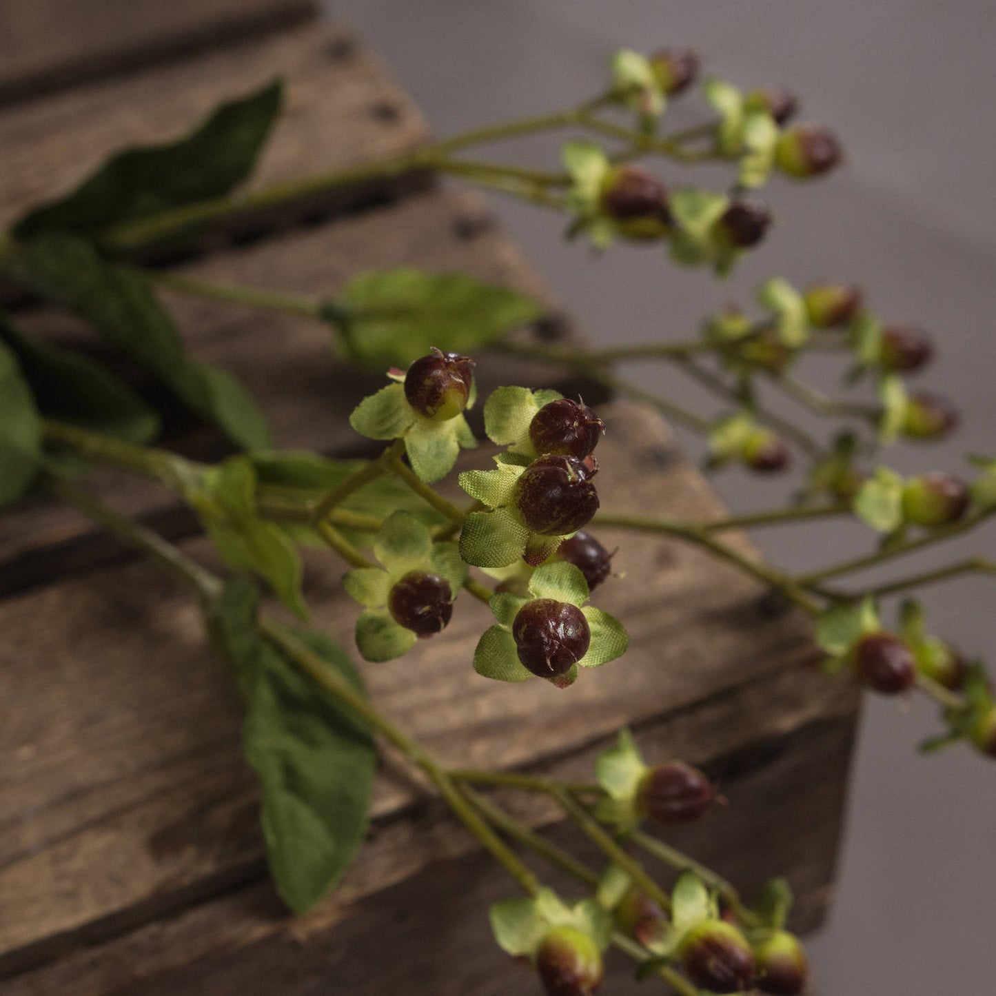 Brown Hypericum Berry Spray