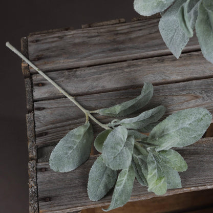 Lambs Ear Spray - Eudemonia Home Goods