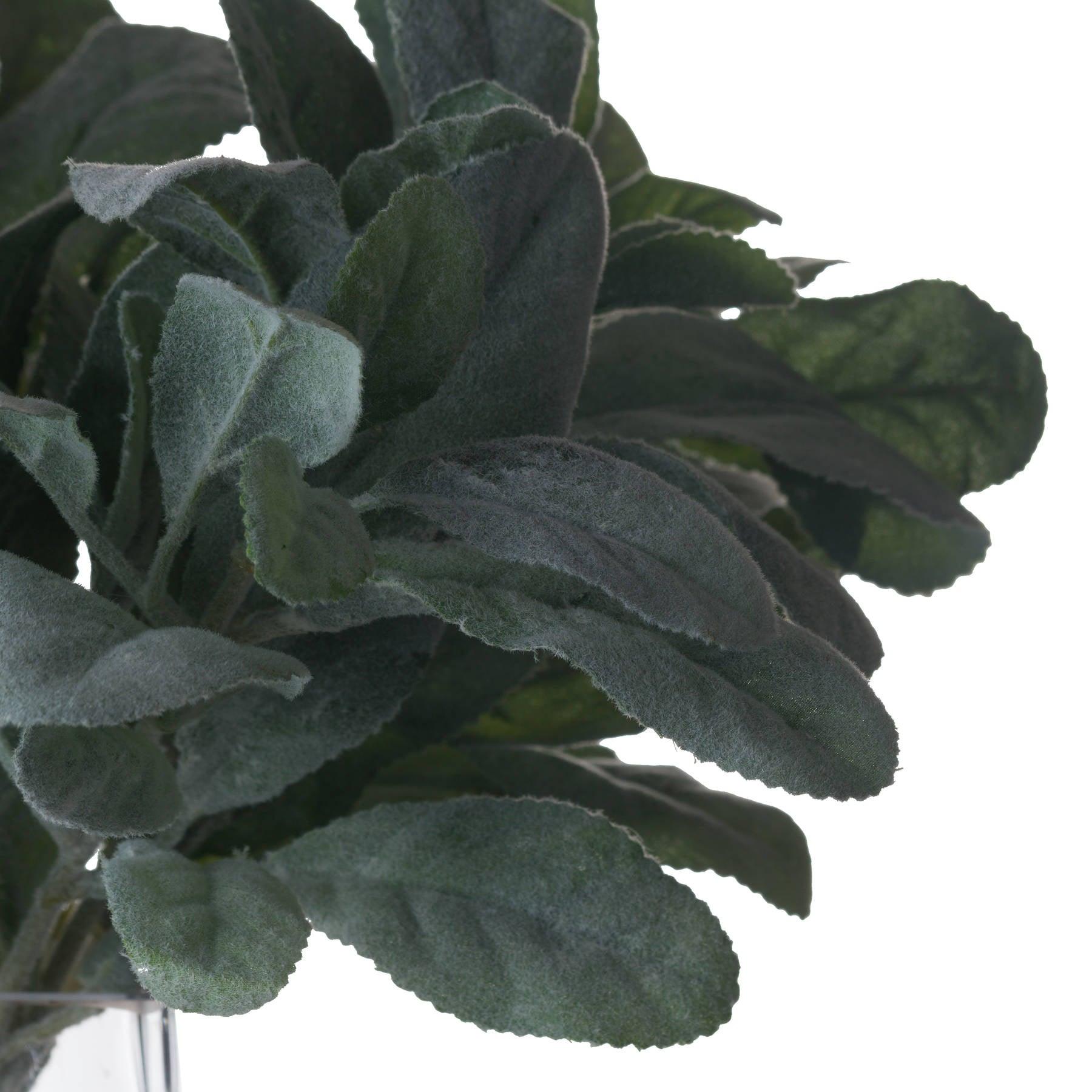Lambs Ear Spray - Eudemonia Home Goods
