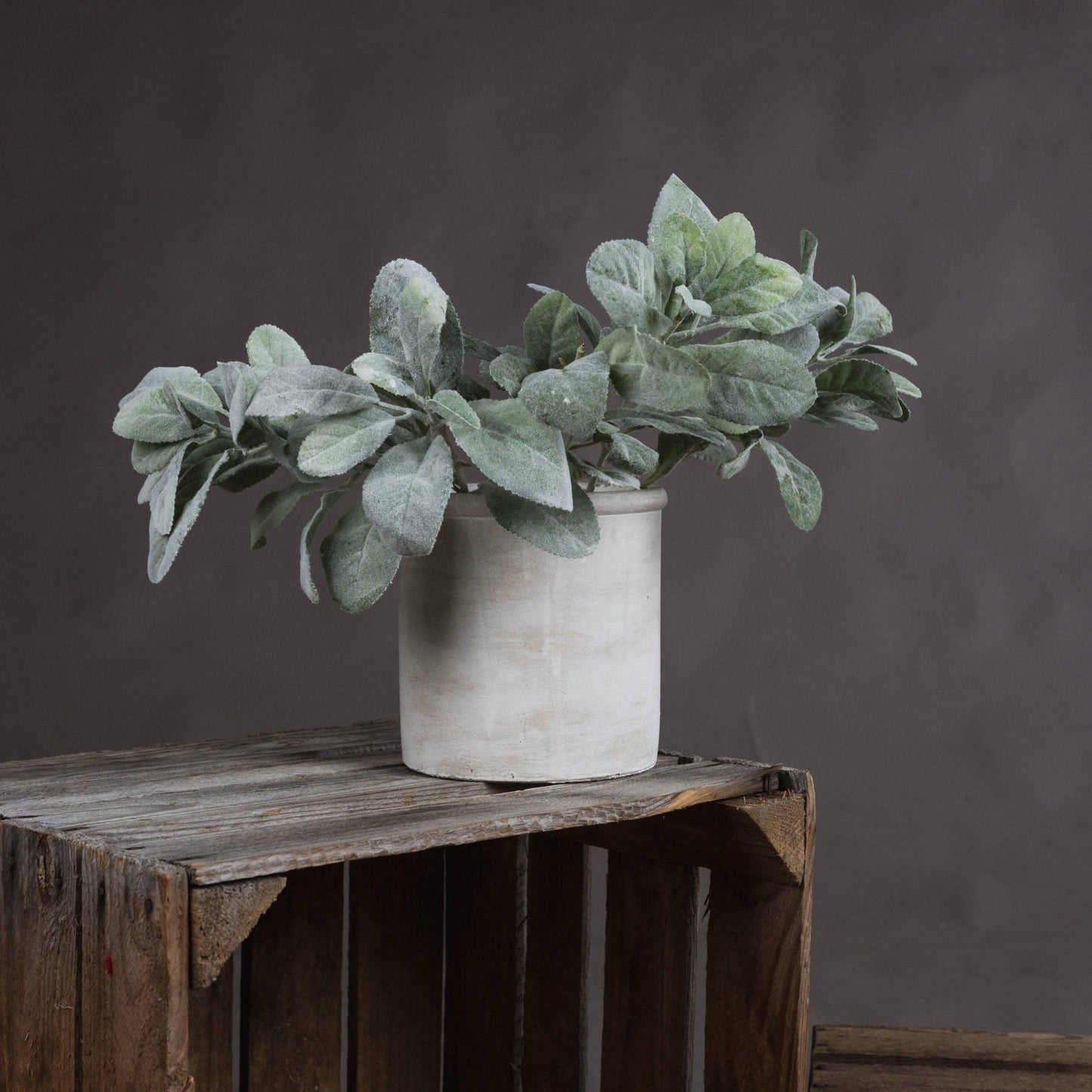 Lambs Ear Spray - Eudemonia Home Goods