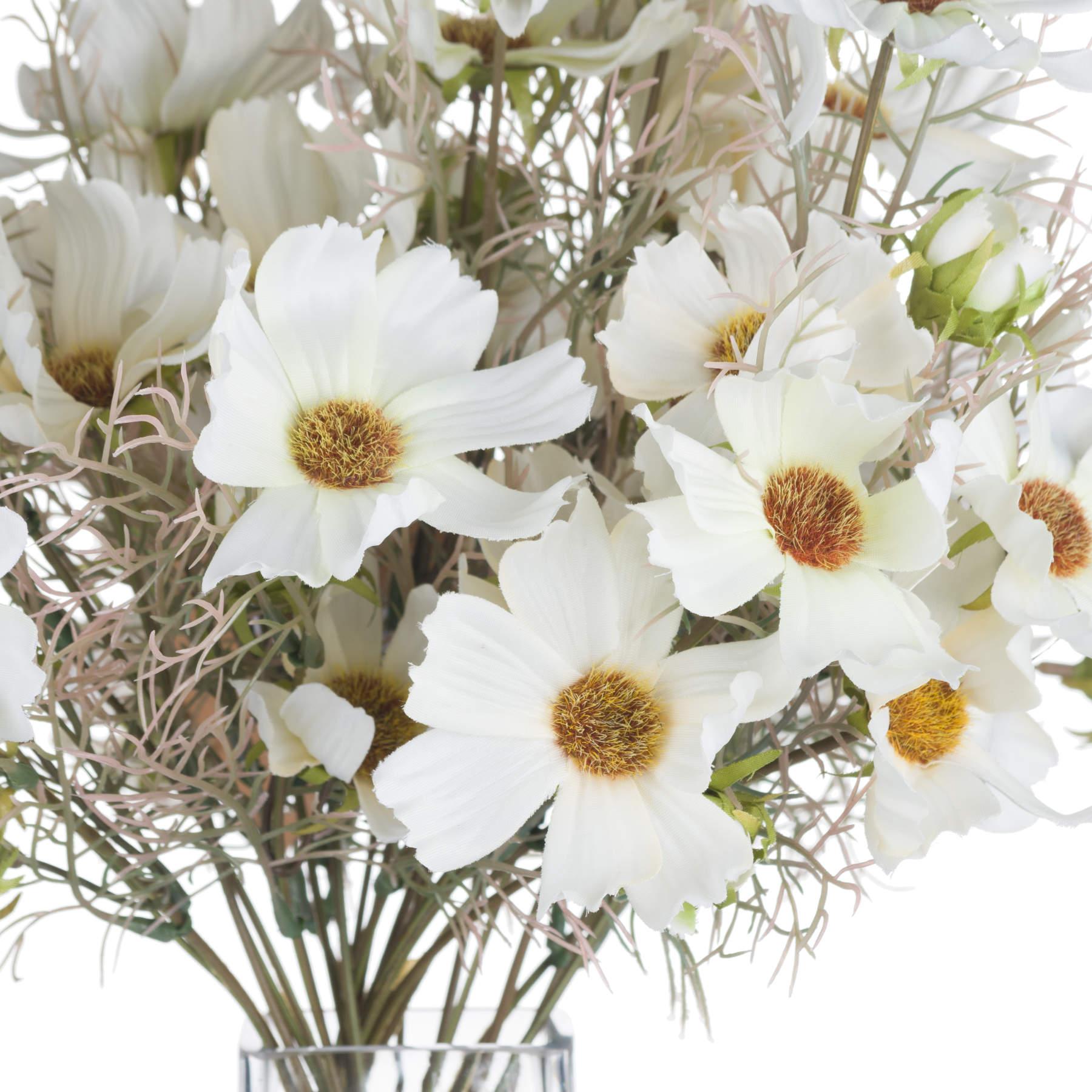 Cream Cosmos Spray - Eudemonia Home Goods