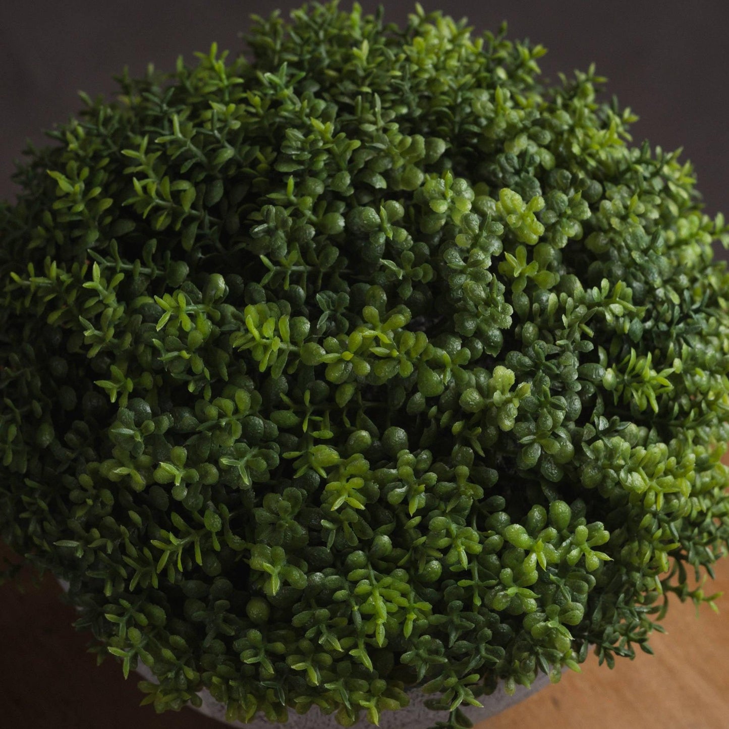 Small Hebe Globe Pot - Eudemonia Home Goods
