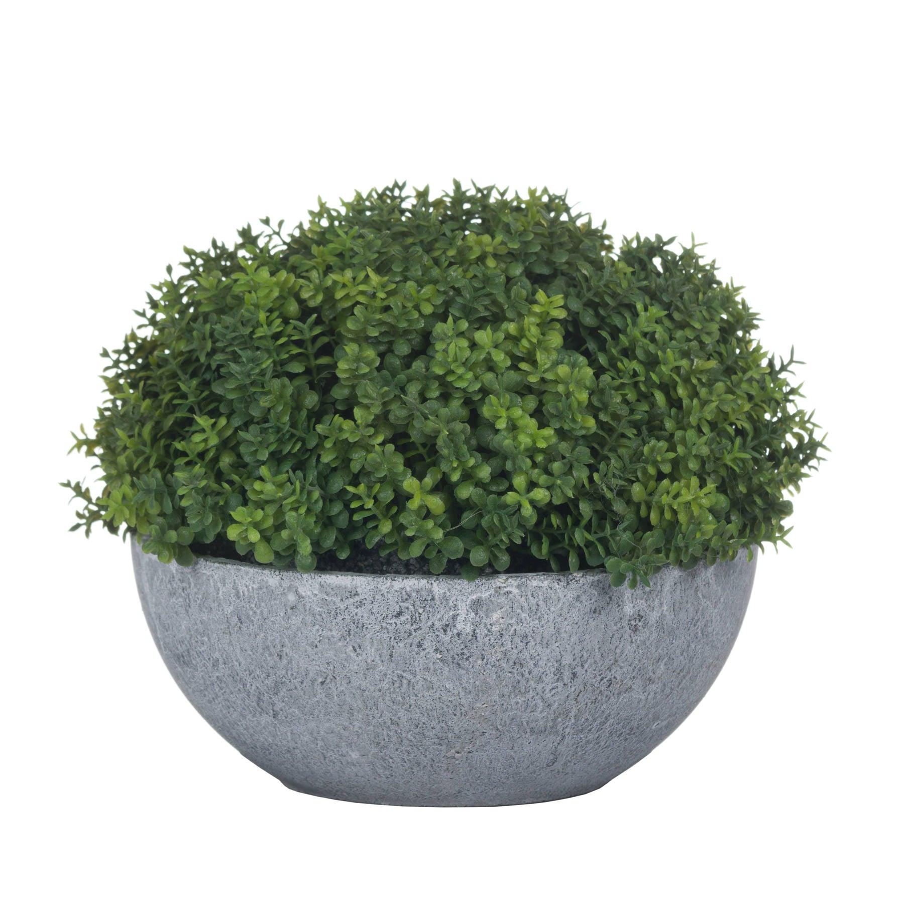 Small Hebe Globe Pot - Eudemonia Home Goods