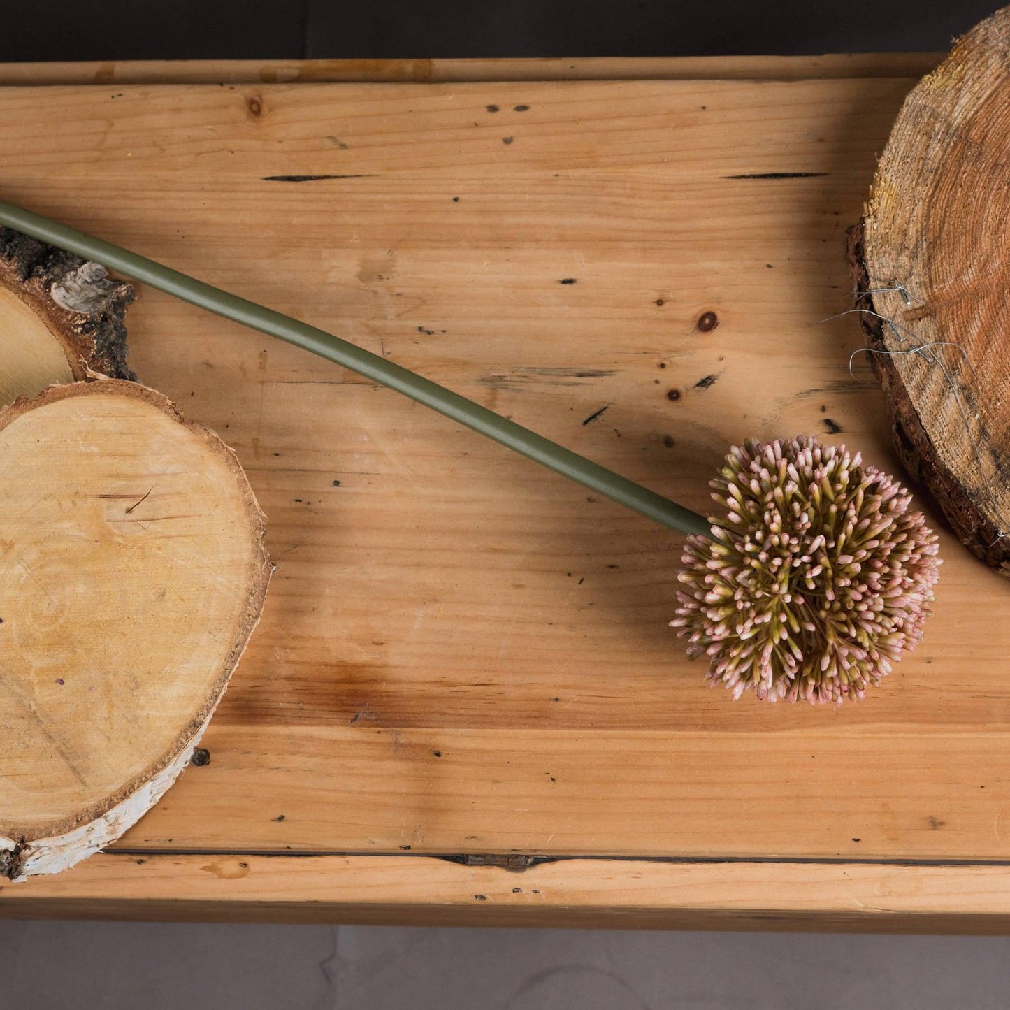 Pink Allium - Eudemonia Home Goods