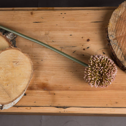 Pink Allium - Eudemonia Home Goods