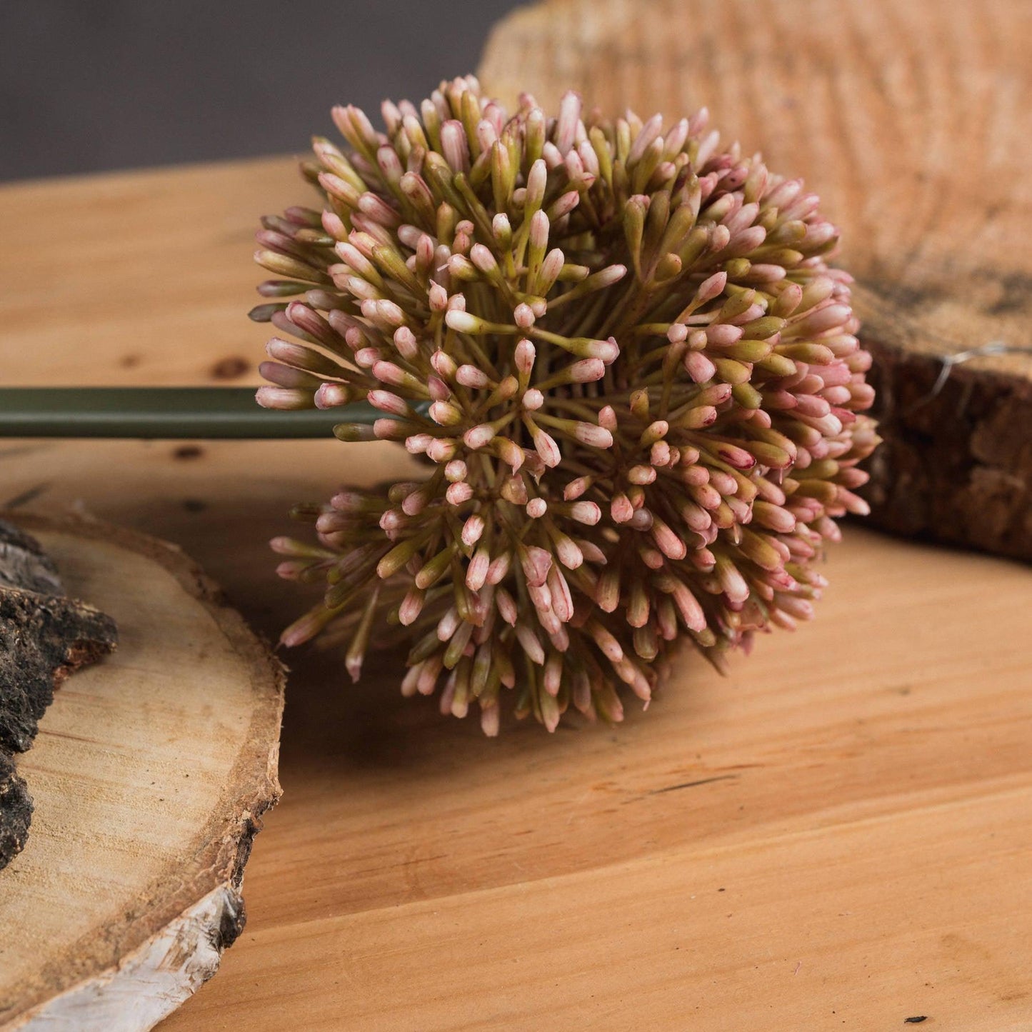 Pink Allium - Eudemonia Home Goods