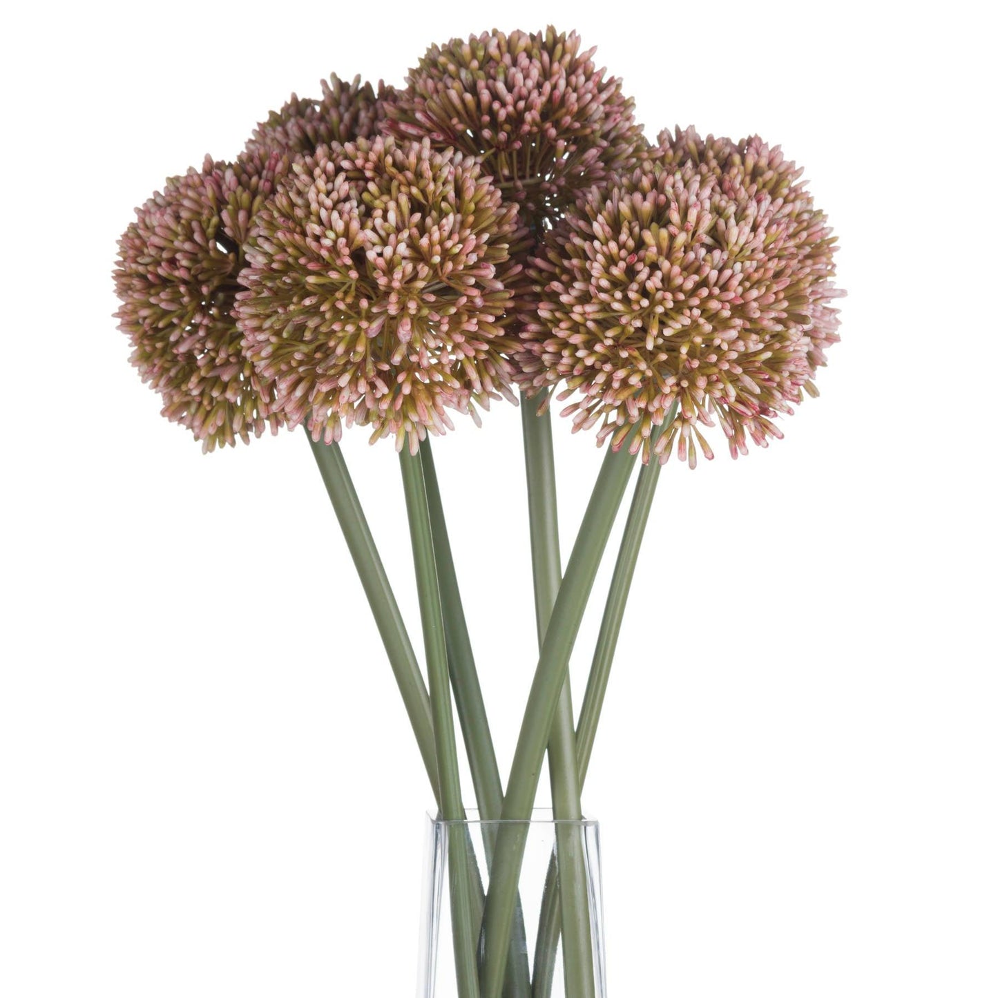 Pink Allium - Eudemonia Home Goods