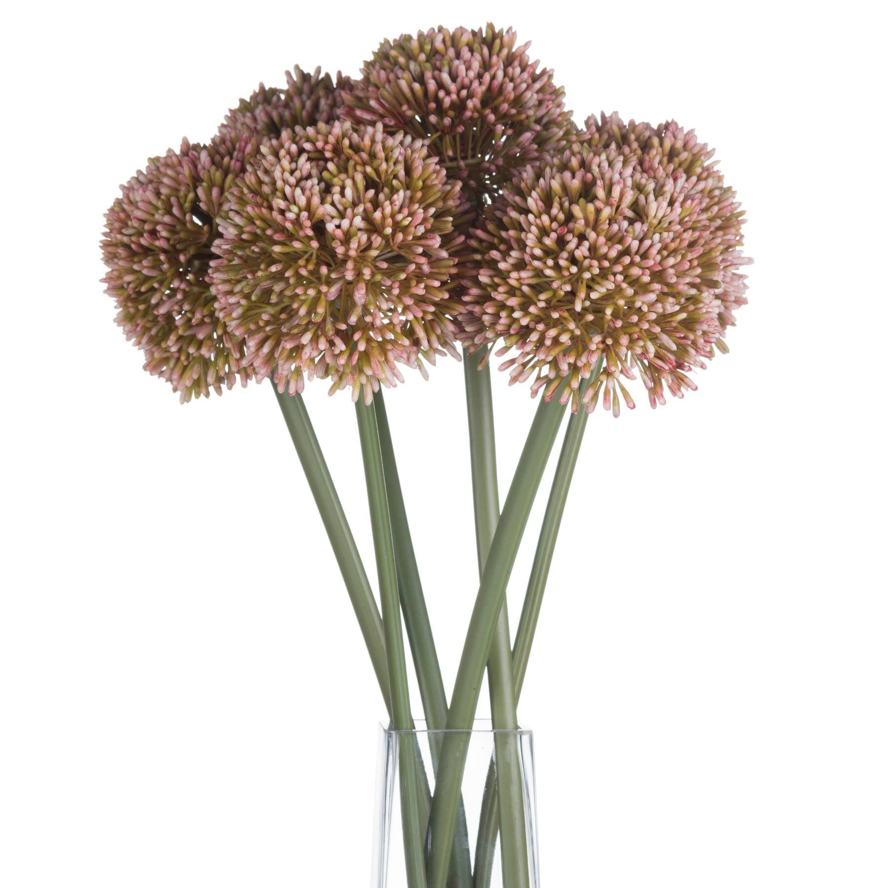 Pink Allium - Eudemonia Home Goods