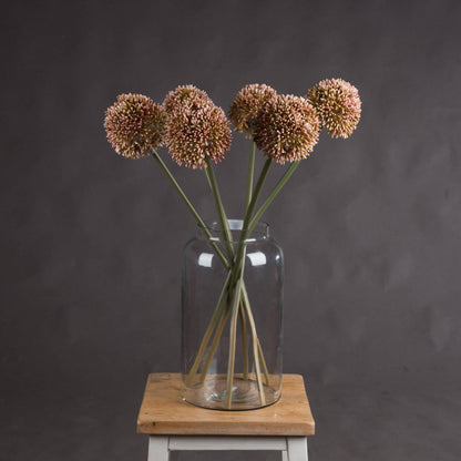 Pink Allium - Eudemonia Home Goods