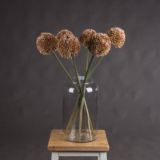 Pink Allium - Eudemonia Home Goods
