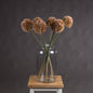 Pink Allium - Eudemonia Home Goods