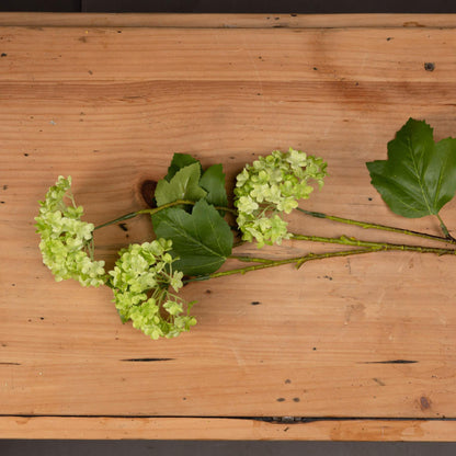 Green Viburnum Spray - Eudemonia Home Goods