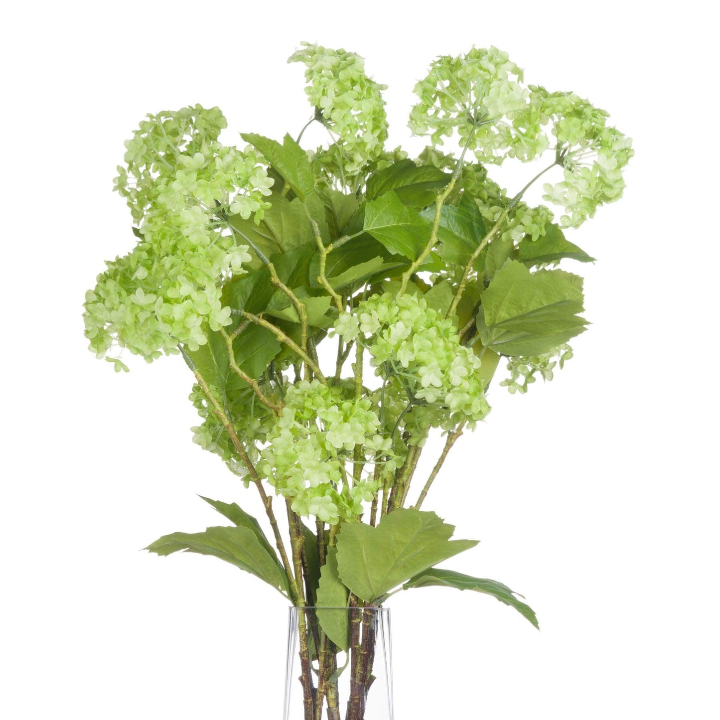 Green Viburnum Spray - Eudemonia Home Goods