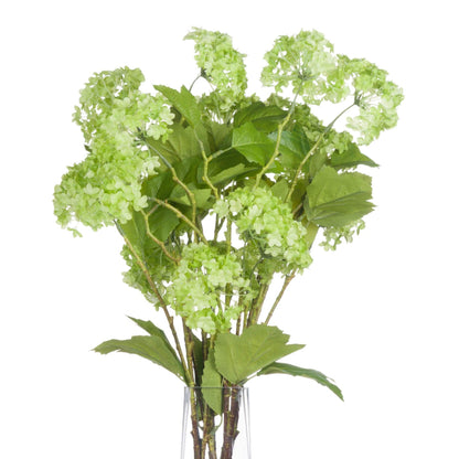 Green Viburnum Spray - Eudemonia Home Goods
