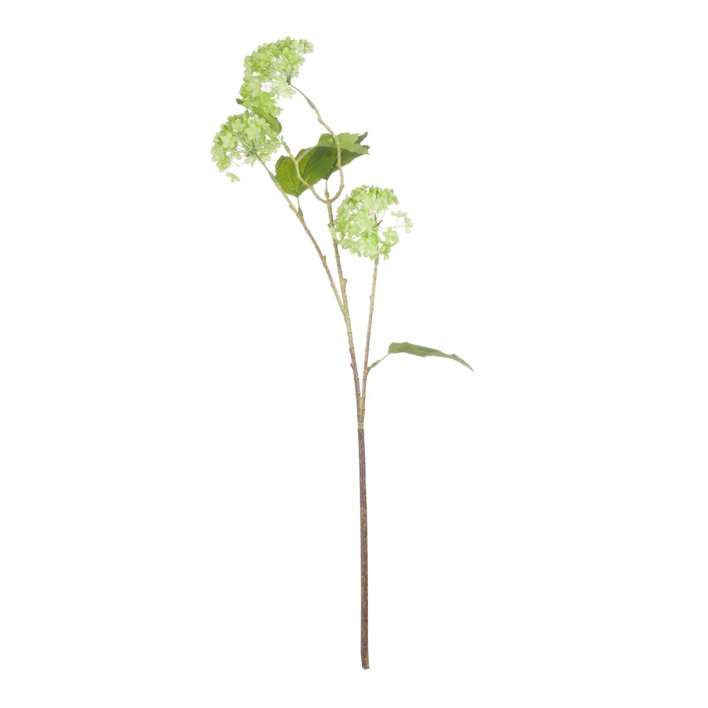 Green Viburnum Spray - Eudemonia Home Goods