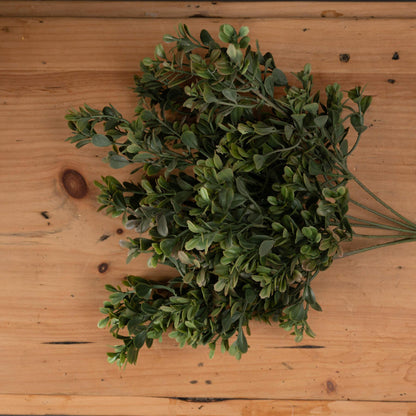 Red Tipped Leaf Spray - Eudemonia Home Goods