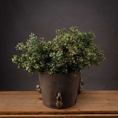 Red Tipped Leaf Spray - Eudemonia Home Goods