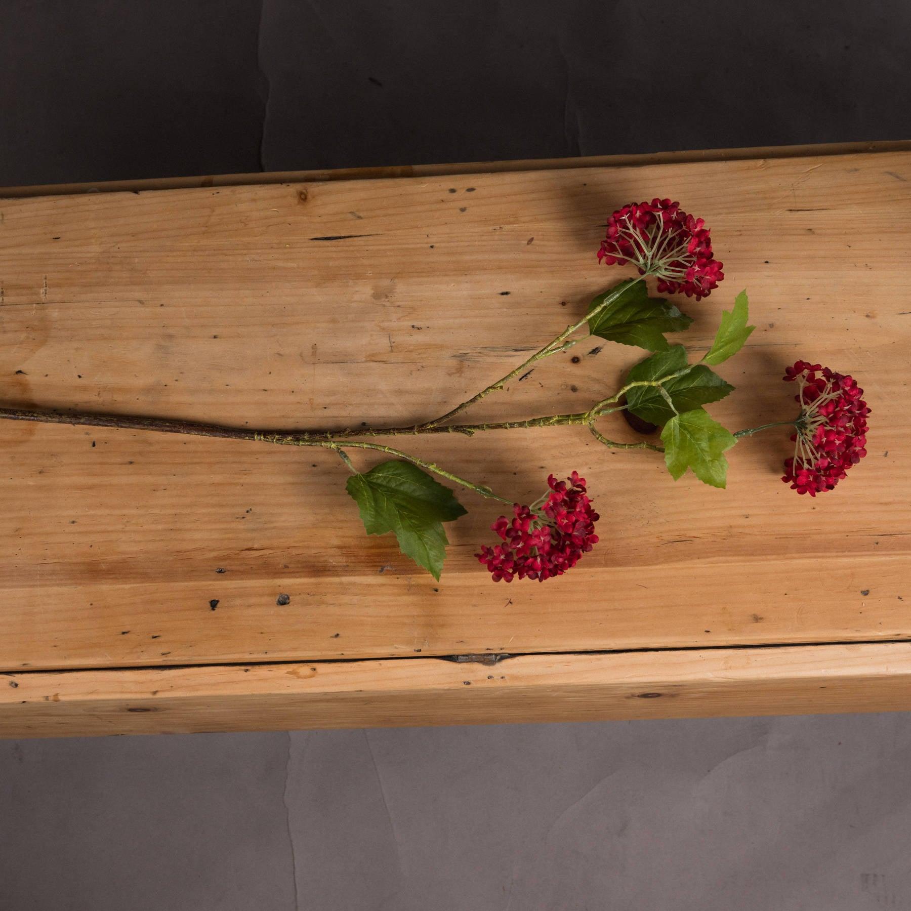 Red Autumnal Viburnum - Eudemonia Home Goods