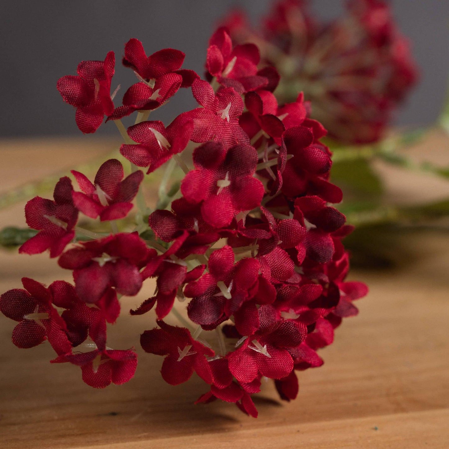 Red Autumnal Viburnum - Eudemonia Home Goods