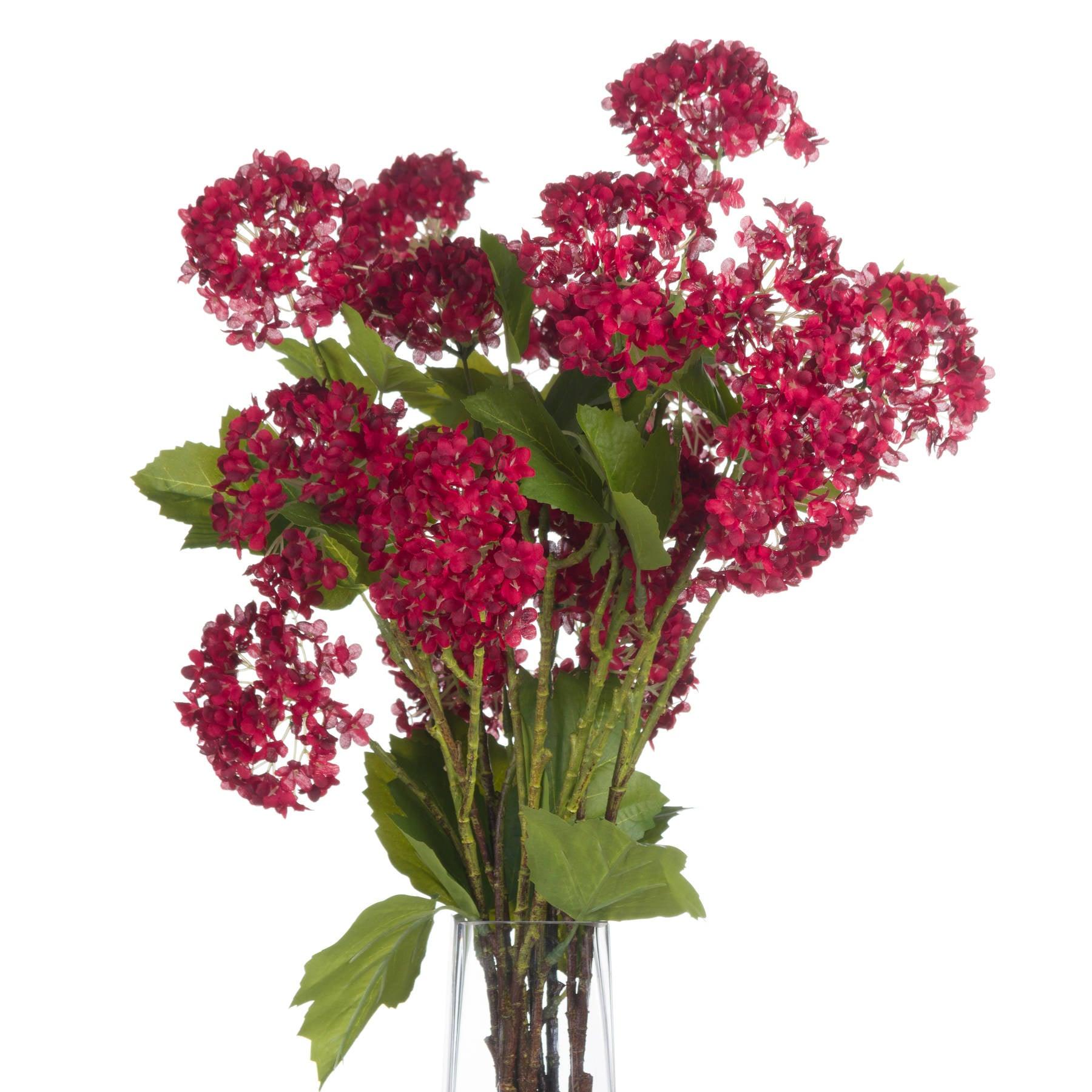 Red Autumnal Viburnum - Eudemonia Home Goods