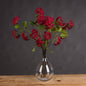 Red Autumnal Viburnum - Eudemonia Home Goods