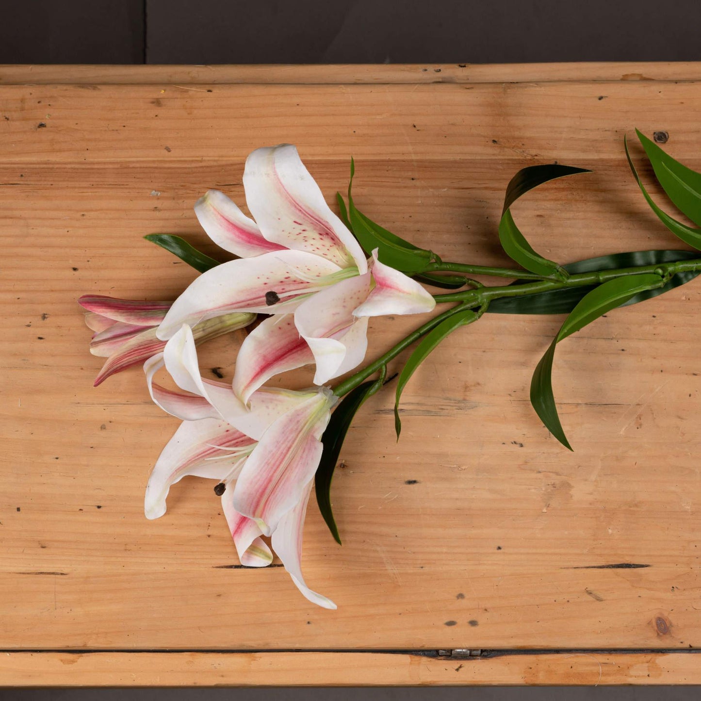Stargazer Lily - Eudemonia Home Goods