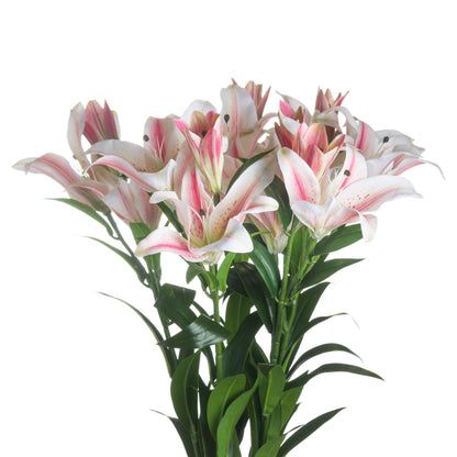 Stargazer Lily - Eudemonia Home Goods