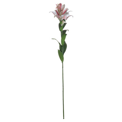 Stargazer Lily - Eudemonia Home Goods