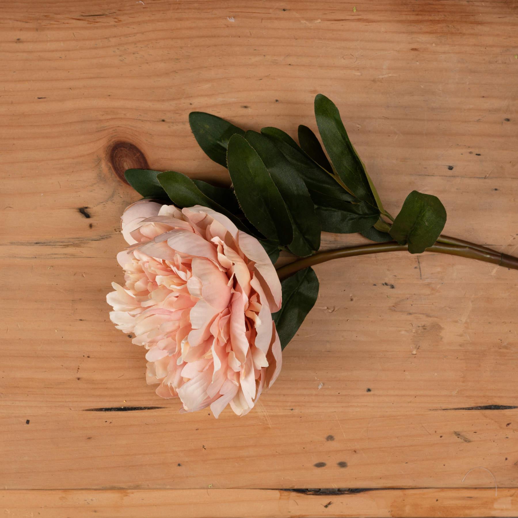 Peach Peony Rose - Eudemonia Home Goods