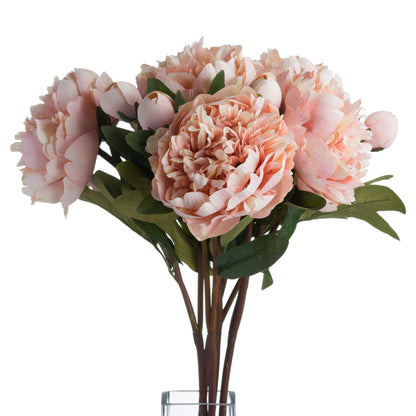 Peach Peony Rose - Eudemonia Home Goods