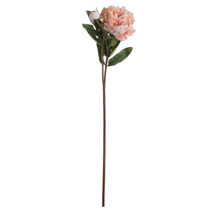 Peach Peony Rose - Eudemonia Home Goods
