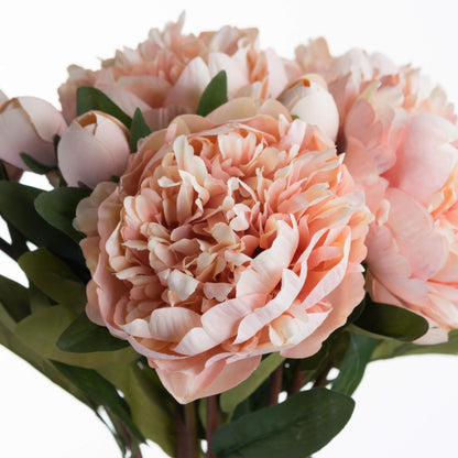Peach Peony Rose - Eudemonia Home Goods