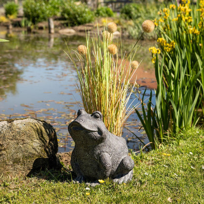 Freddie The Frog Plant Pot Holder - Eudemonia Home Goods