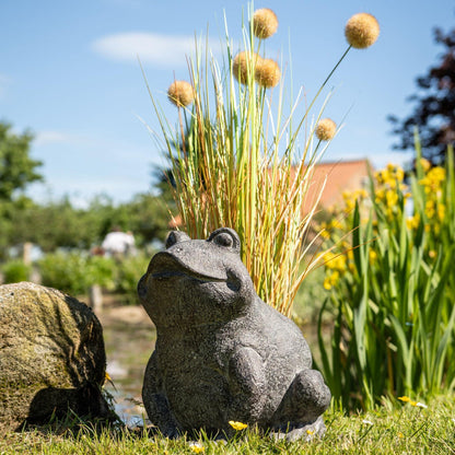 Freddie The Frog Plant Pot Holder - Eudemonia Home Goods
