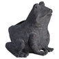 Freddie The Frog Plant Pot Holder - Eudemonia Home Goods