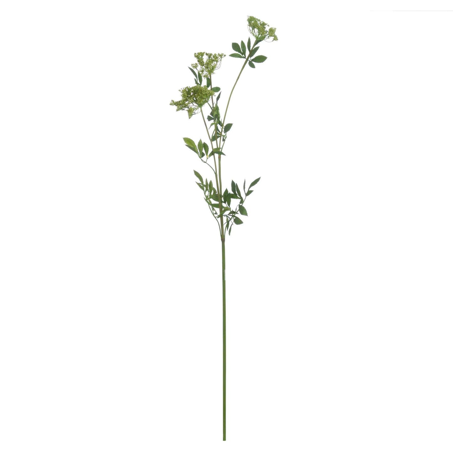 Faux Cow Parsley Ammi - Eudemonia Home Goods