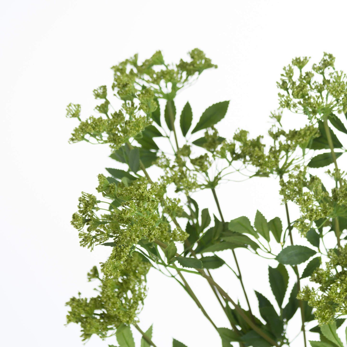 Faux Cow Parsley Ammi - Eudemonia Home Goods