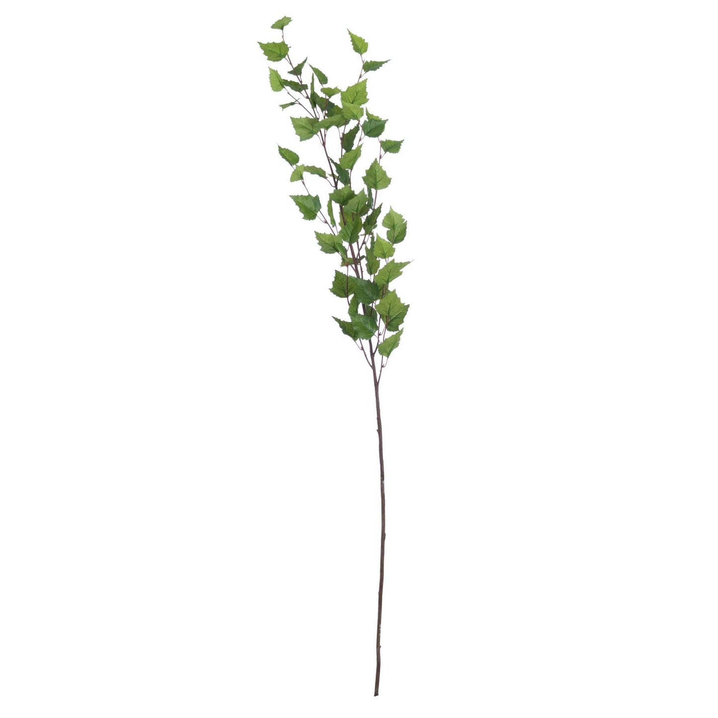 Green Branch Spray - Eudemonia Home Goods