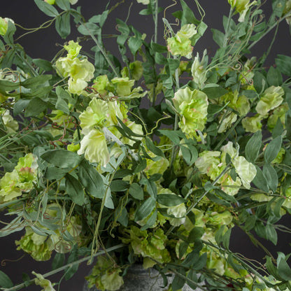 Sweet Pea Trail - Eudemonia Home Goods