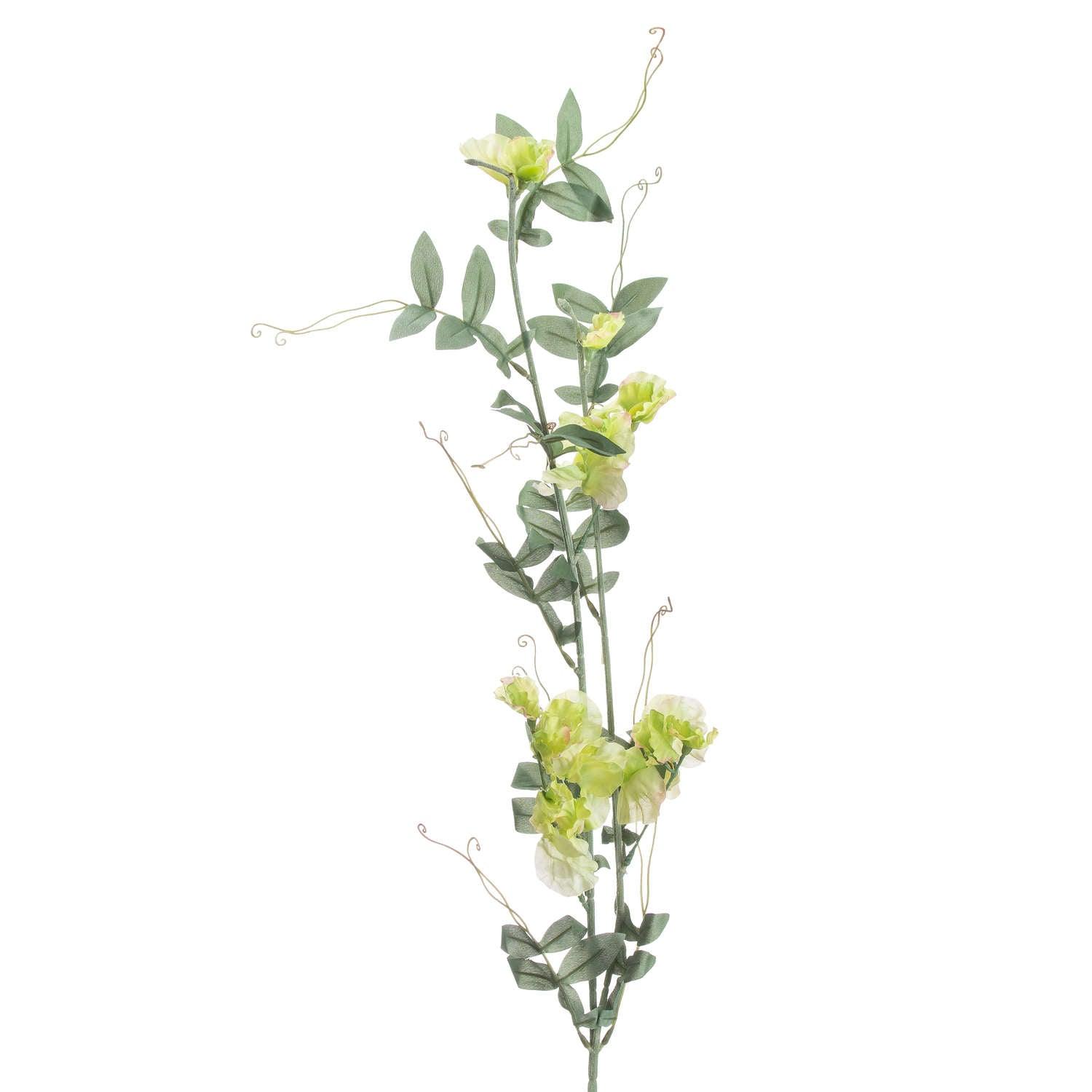 Sweet Pea Trail - Eudemonia Home Goods