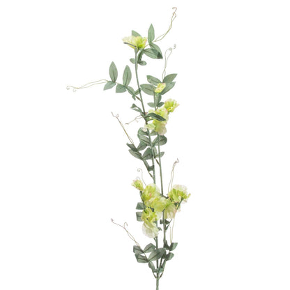 Sweet Pea Trail - Eudemonia Home Goods