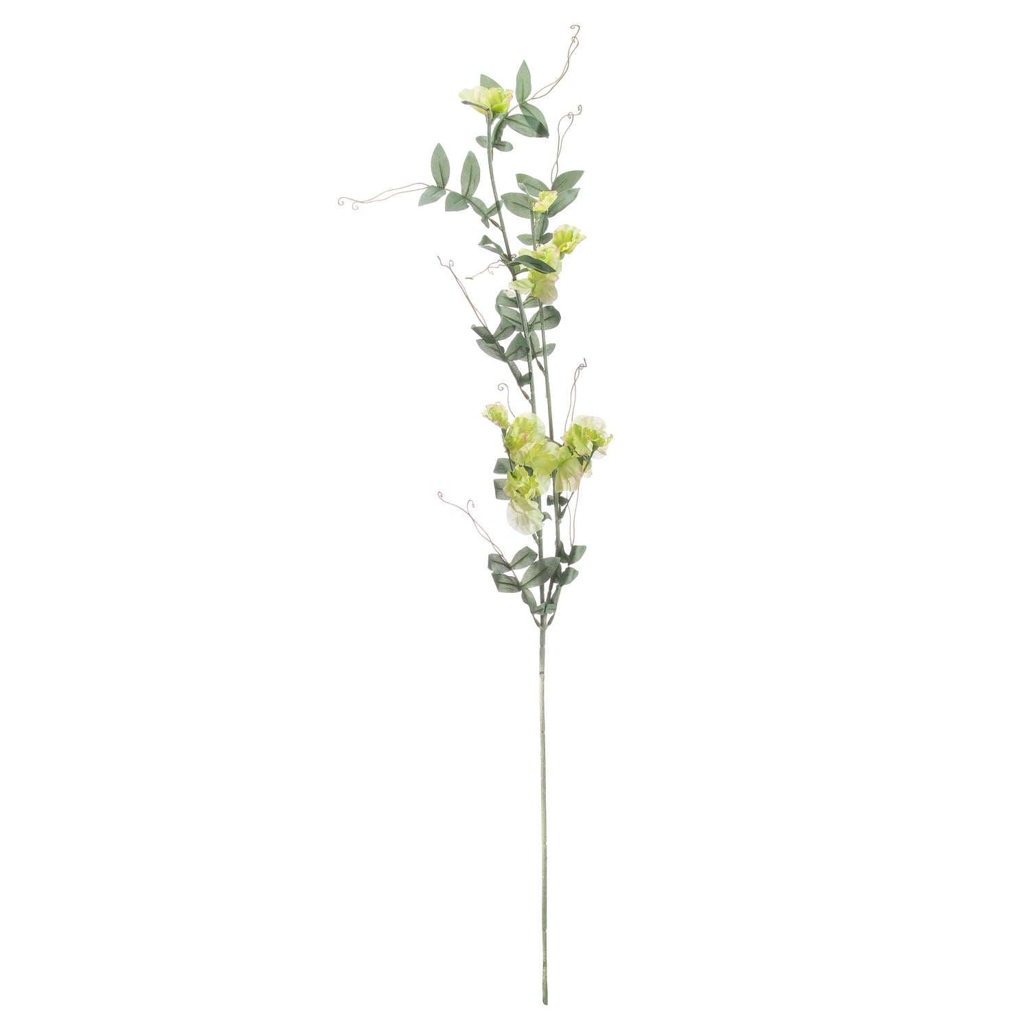 Sweet Pea Trail - Eudemonia Home Goods