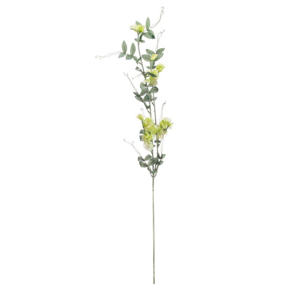 Sweet Pea Trail - Eudemonia Home Goods