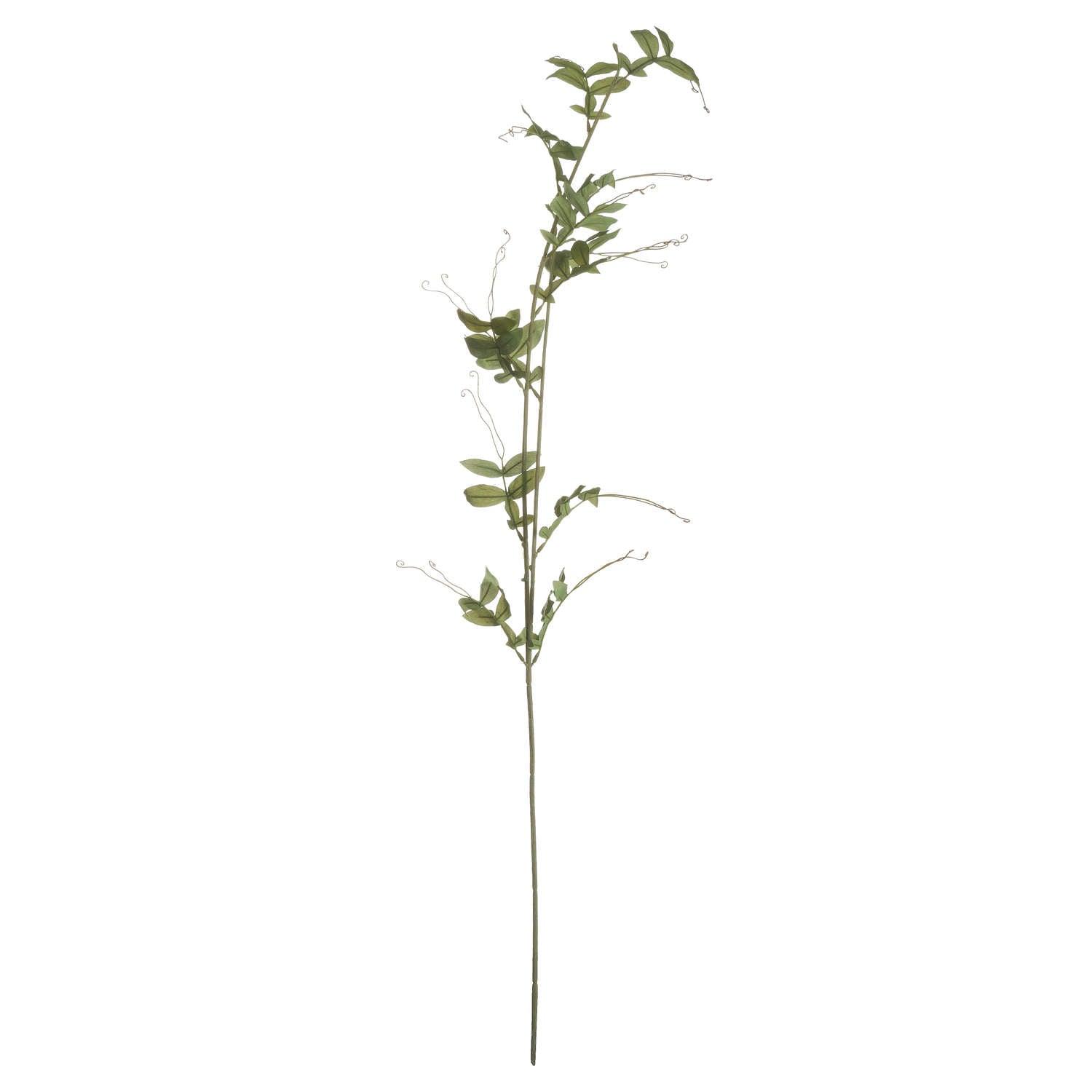 Sweet Pea Trail - Eudemonia Home Goods