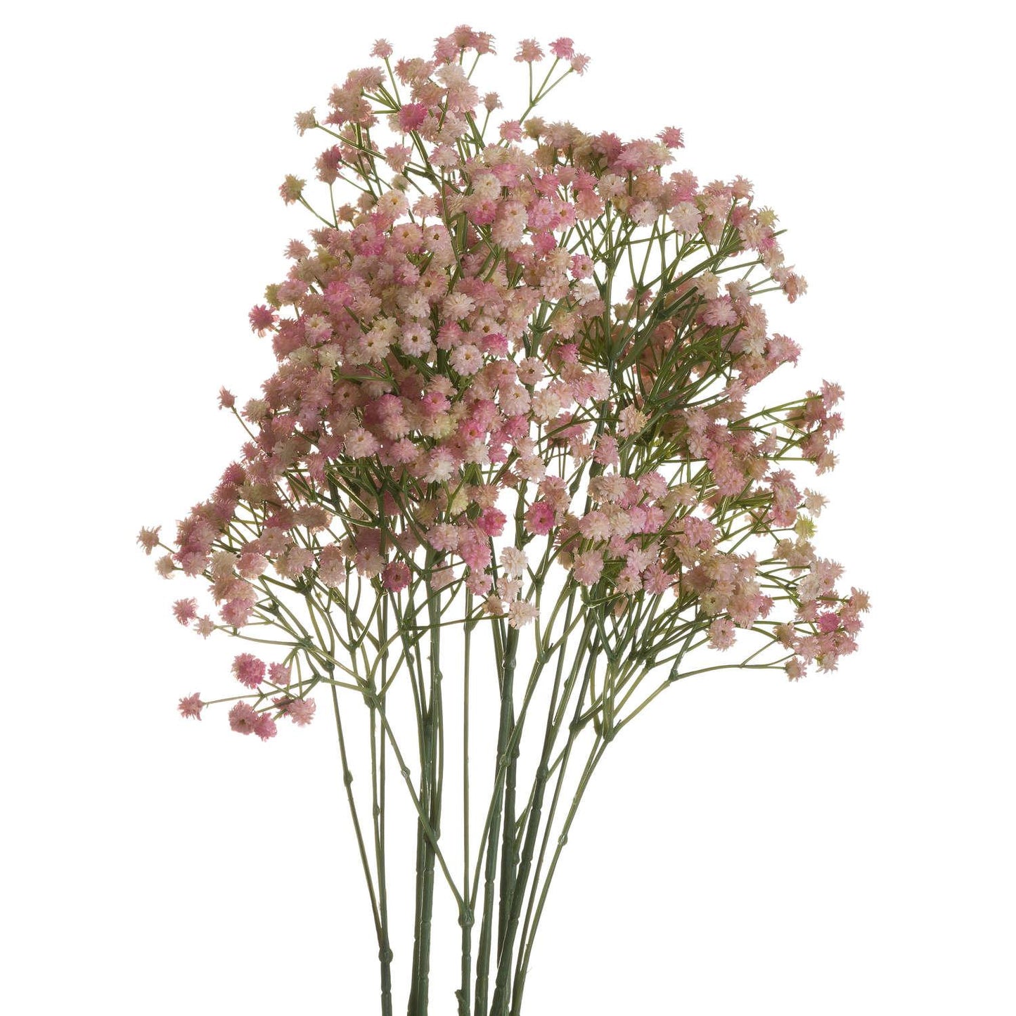 Pink Babys Breath Gypsophilia - Eudemonia Home Goods