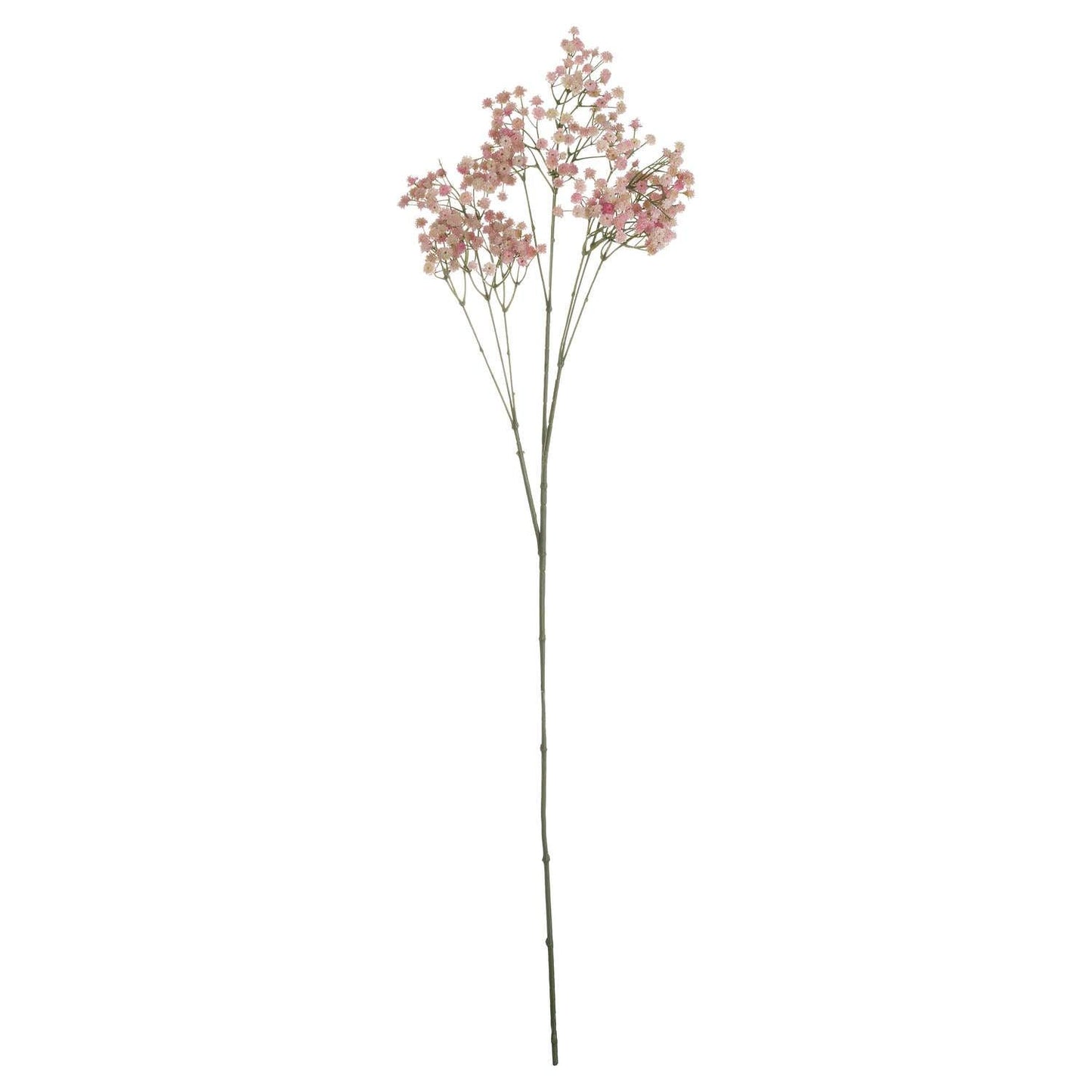 Pink Babys Breath Gypsophilia - Eudemonia Home Goods