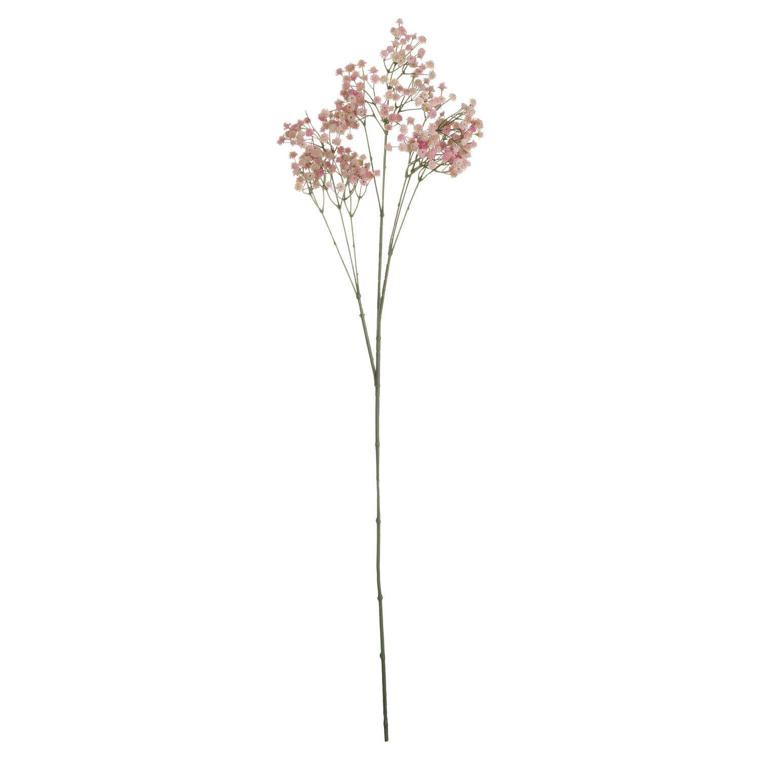 Pink Babys Breath Gypsophilia - Eudemonia Home Goods